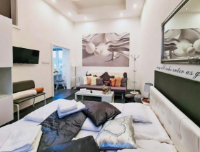 Modern flat in city center